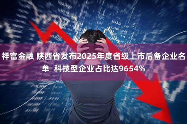 祥富金融 陕西省发布2025年度省级上市后备企业名单  科技型企业占比达9654%