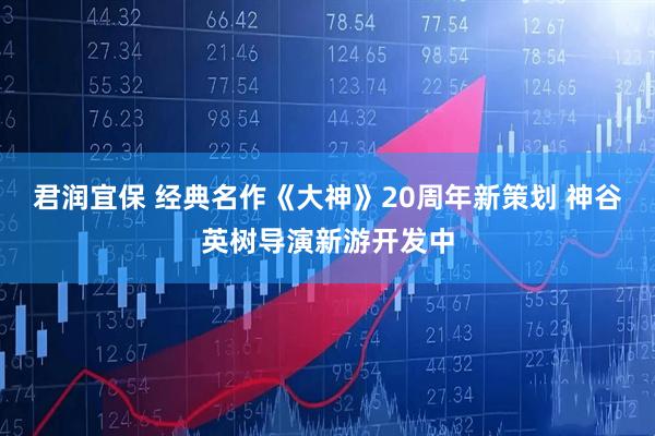 君润宜保 经典名作《大神》20周年新策划 神谷英树导演新游开发中
