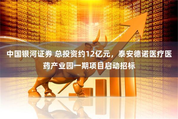 中国银河证券 总投资约12亿元，泰安德诺医疗医药产业园一期项目启动招标